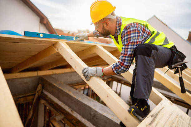 Best Residential Roofing Contractor  in Annandale, MN
