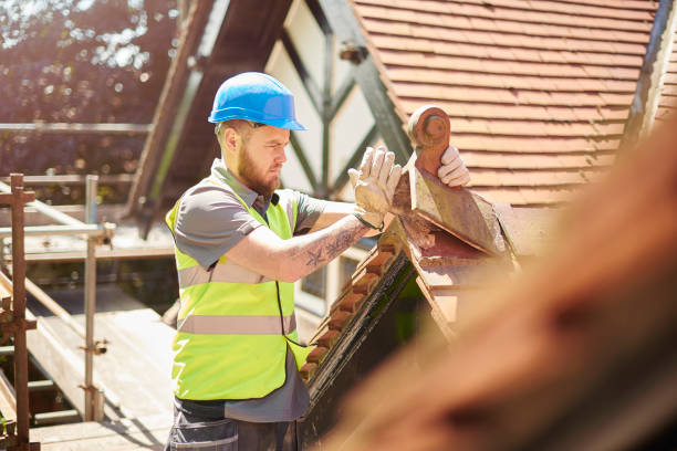 Best Residential Roofing Contractor  in Annandale, MN