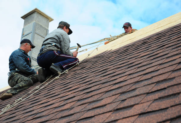 Best Gutter Installation and Roofing  in Annandale, MN
